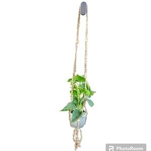 Vintage Seashell Plant Hanger